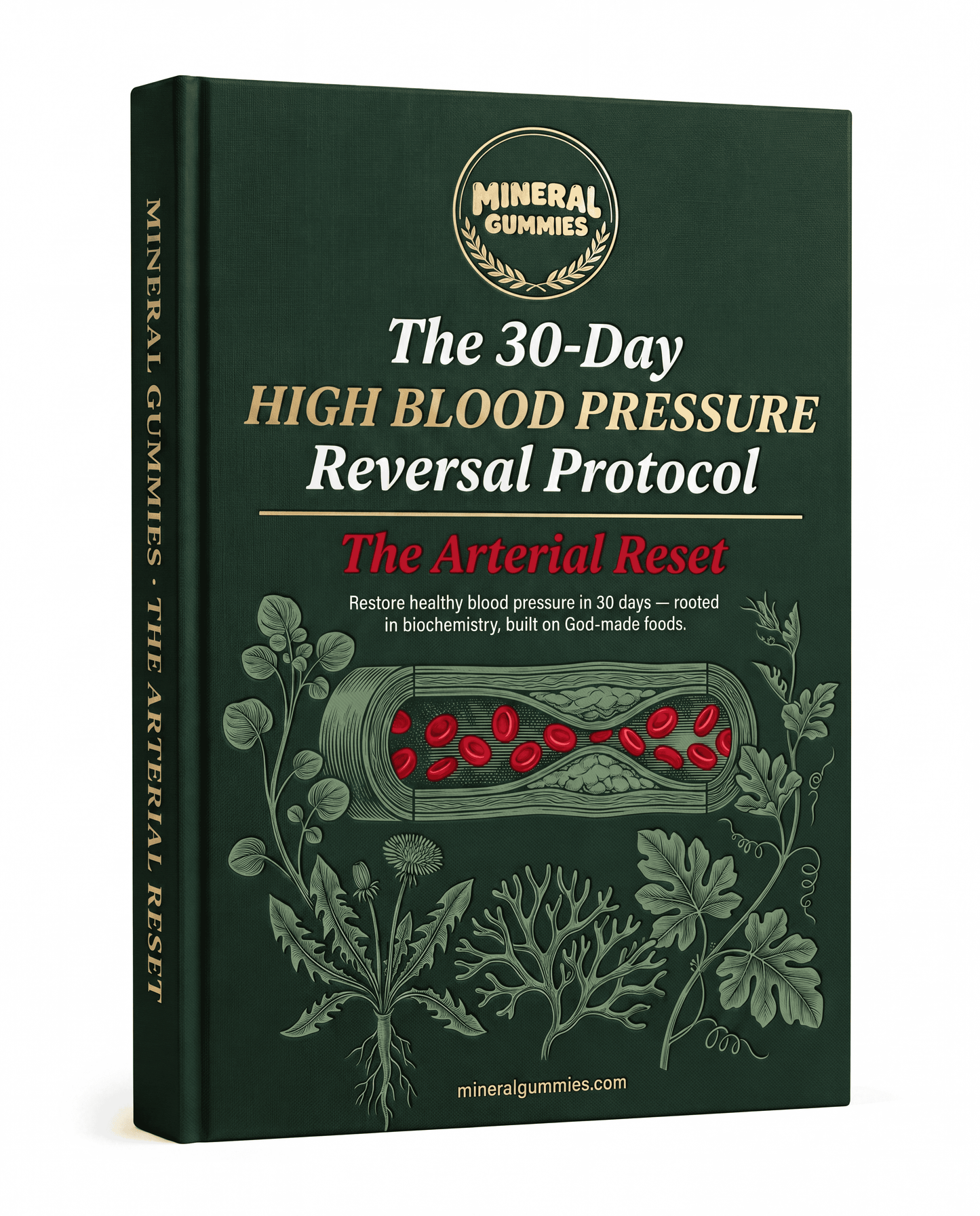 THE 30-DAY HIGH BLOOD PRESSURE REVERSAL PROTOCOL