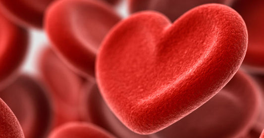 The Importance Of Clean Blood