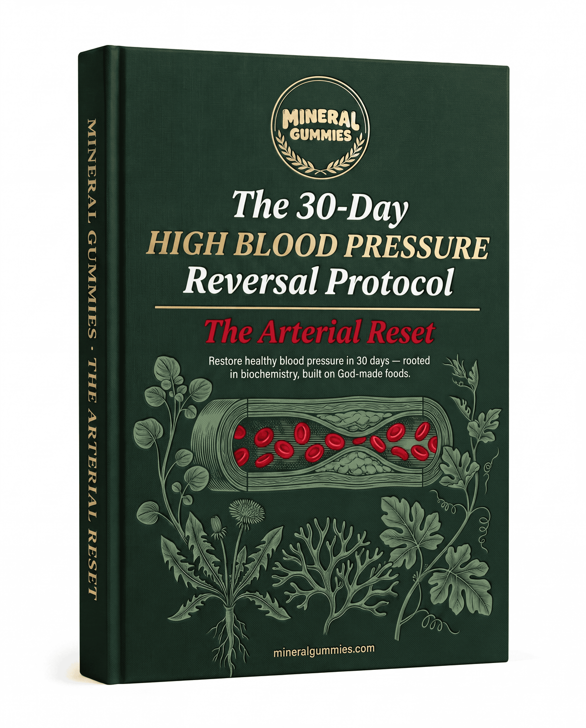 Healing Protocols